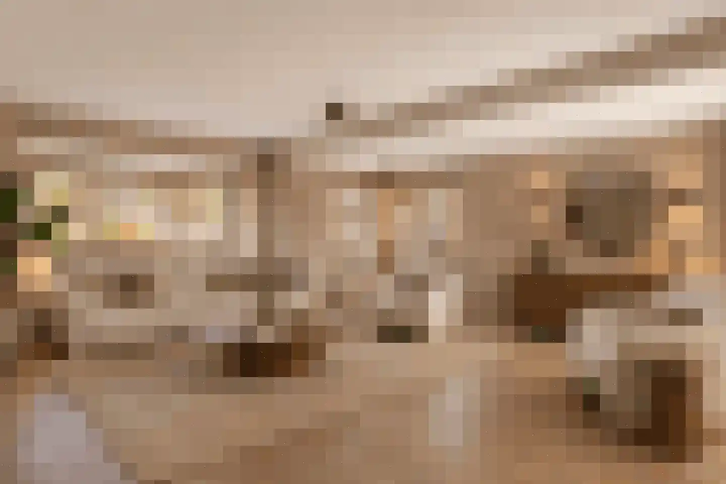 de IJsvogel 6 Denekamp thumbnail 6