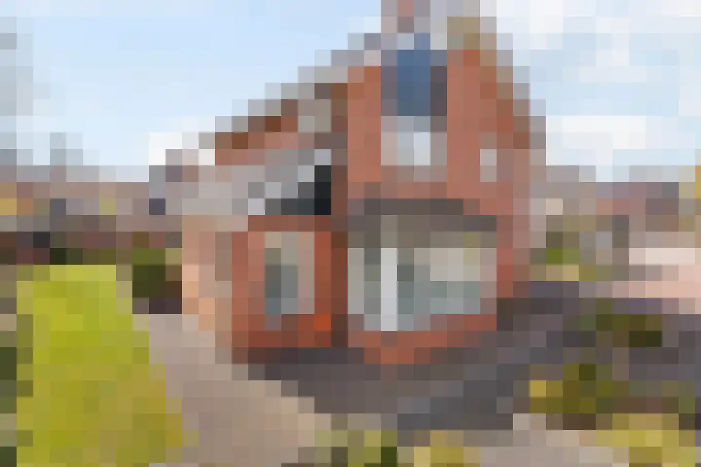 de IJsvogel 6 Denekamp thumbnail 6