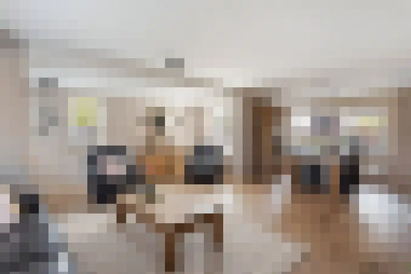 de IJsvogel 6 Denekamp thumbnail 8
