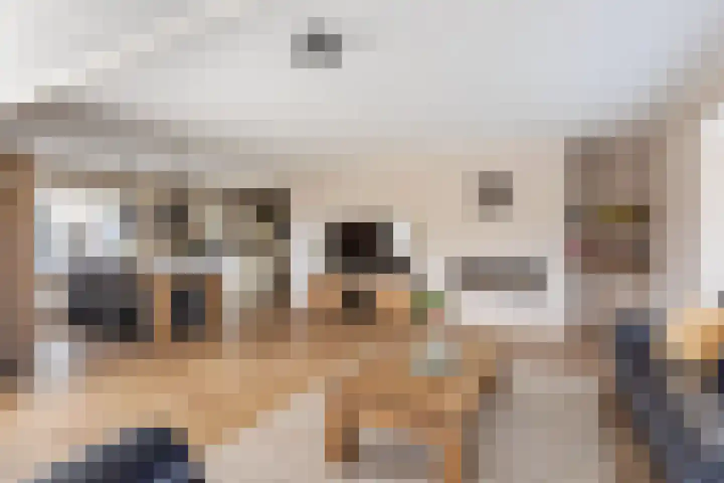 de IJsvogel 6 Denekamp thumbnail 9