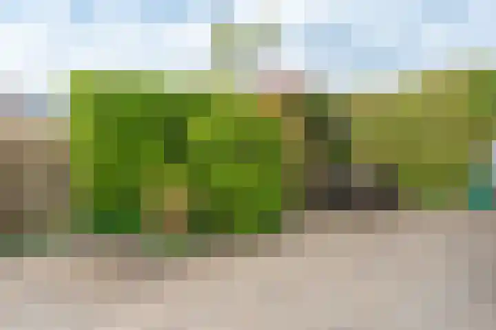 De IJvelandssloot 14 Obdam thumbnail 39