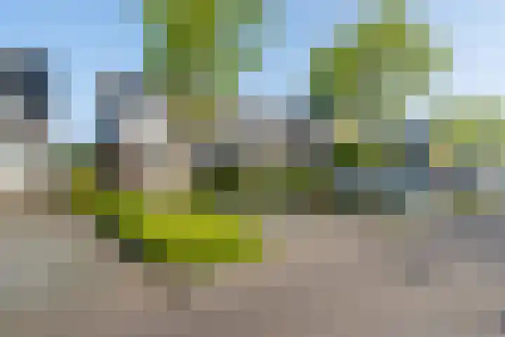 De IJvelandssloot 14 Obdam thumbnail 47