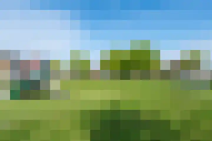De IJvelandssloot 14 Obdam thumbnail 52