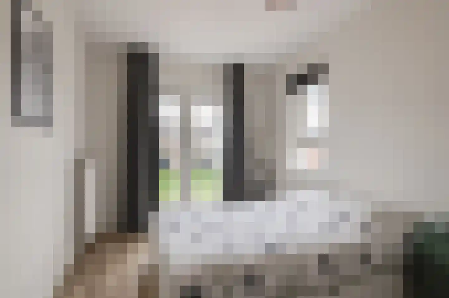 De IJzeren pot 33 Beusichem thumbnail 25