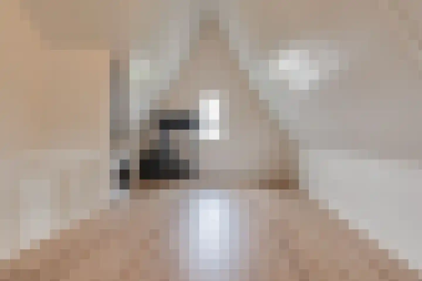 De IJzeren pot 33 Beusichem thumbnail 35