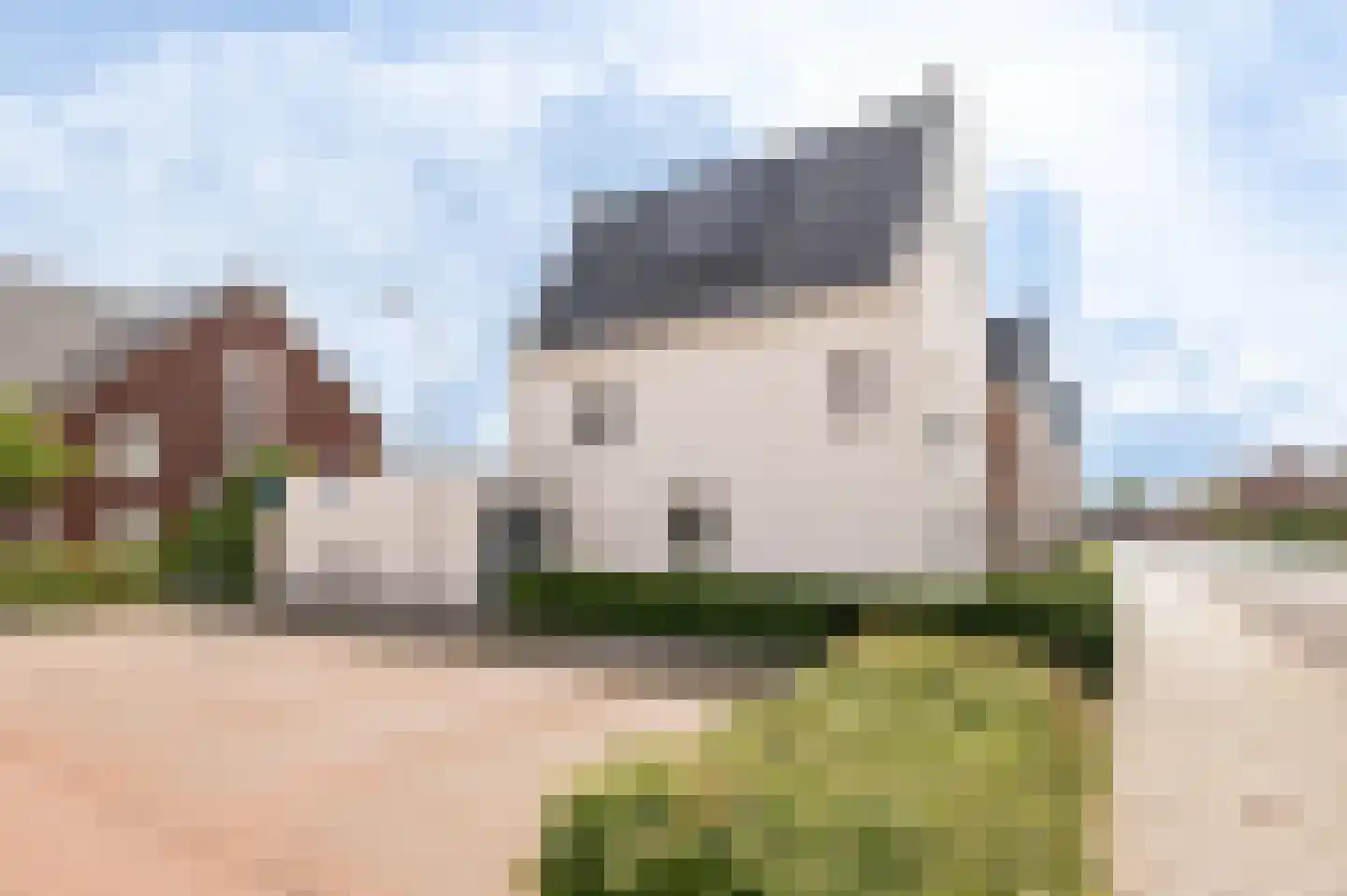 De IJzeren pot 33 Beusichem thumbnail 38