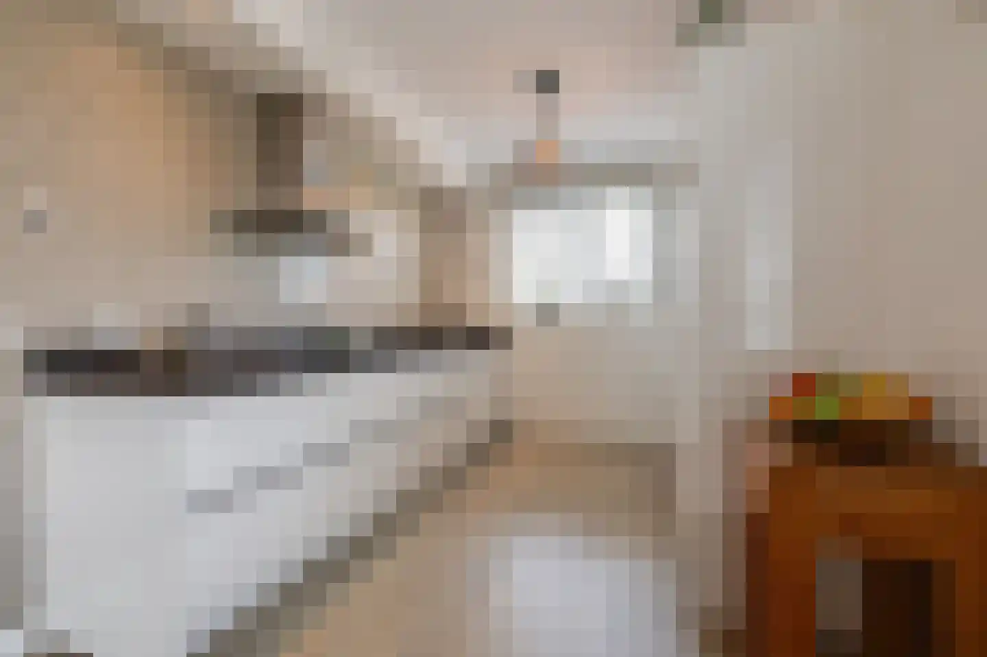 De IJzeren pot 33 Beusichem thumbnail 4
