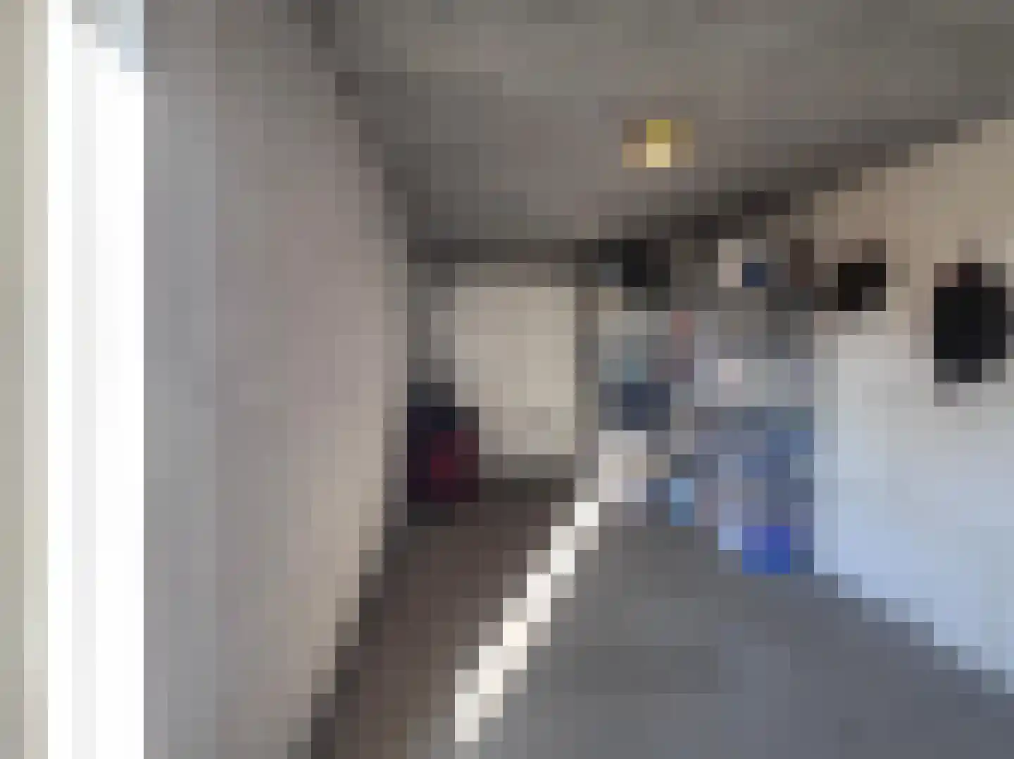 De IJzeren pot 33 Beusichem thumbnail 42
