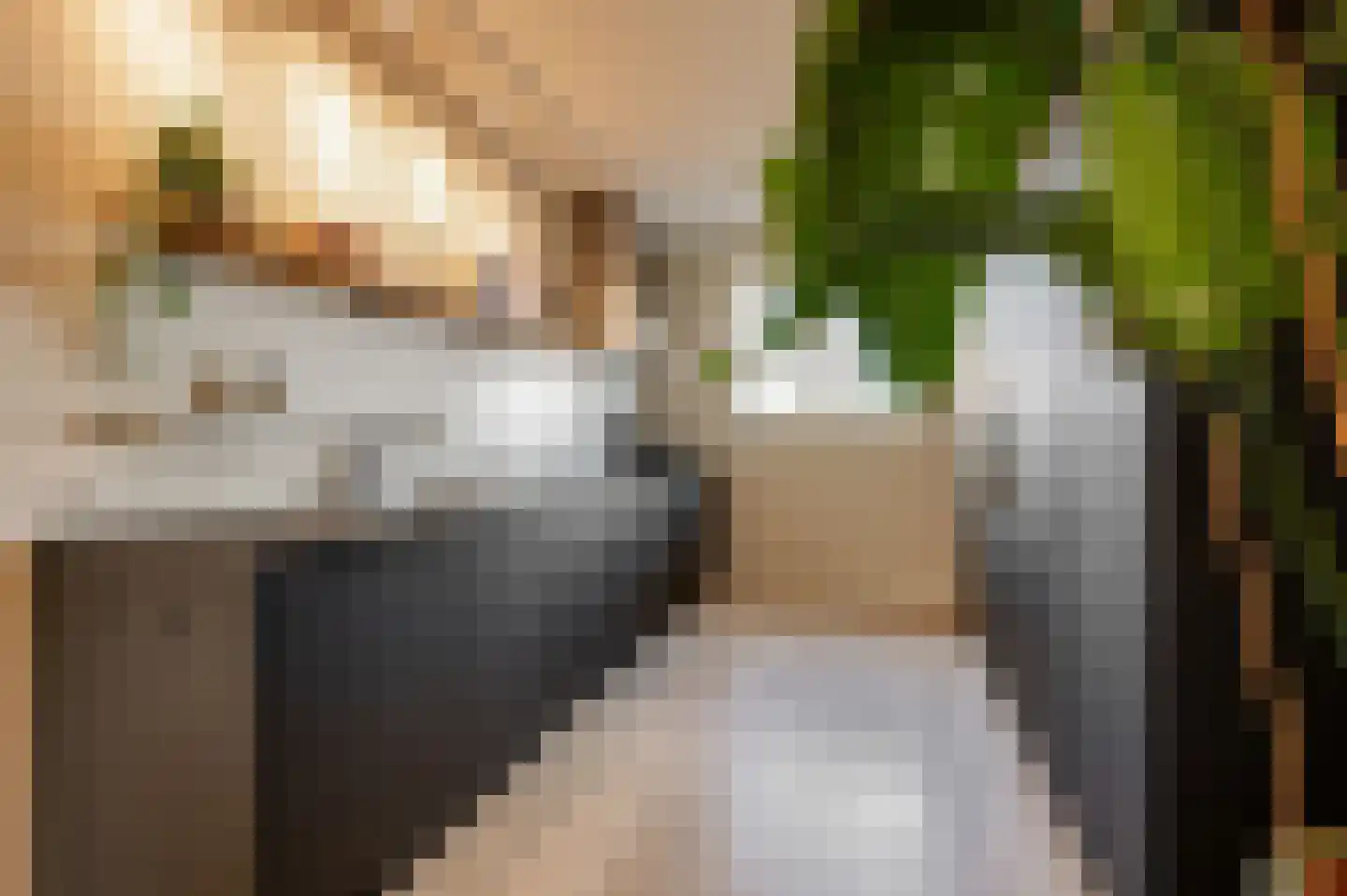 De IJzeren pot 37 Beusichem thumbnail 13