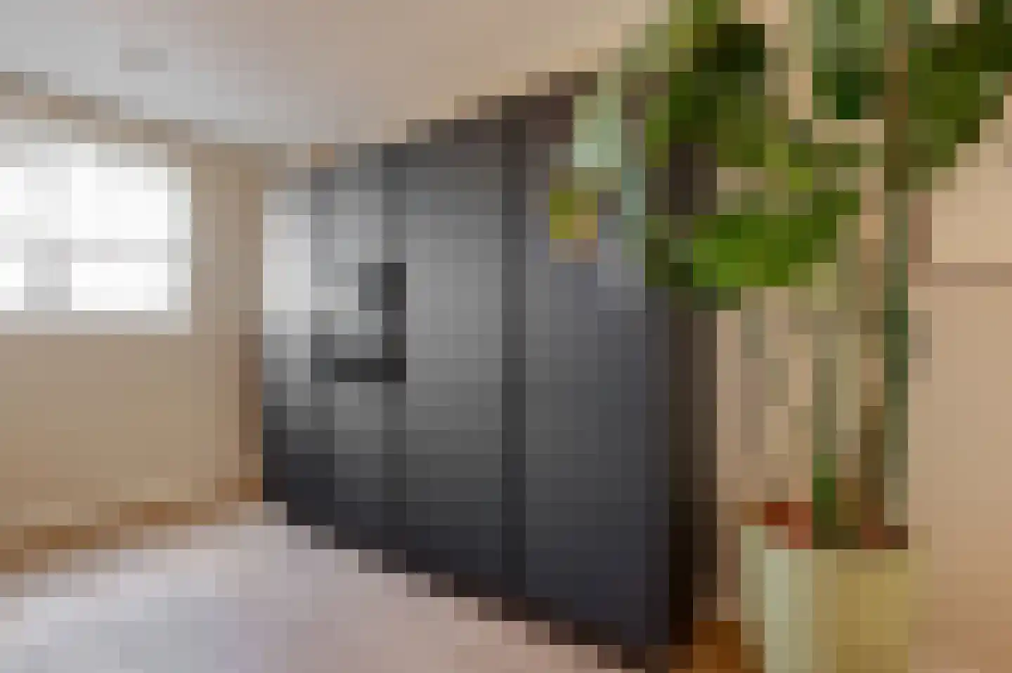 De IJzeren pot 37 Beusichem thumbnail 14
