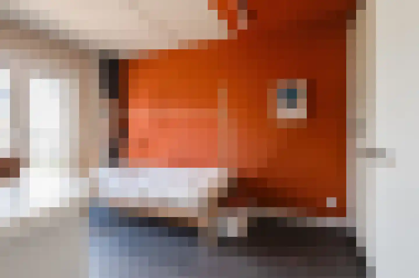 De IJzeren pot 37 Beusichem thumbnail 20