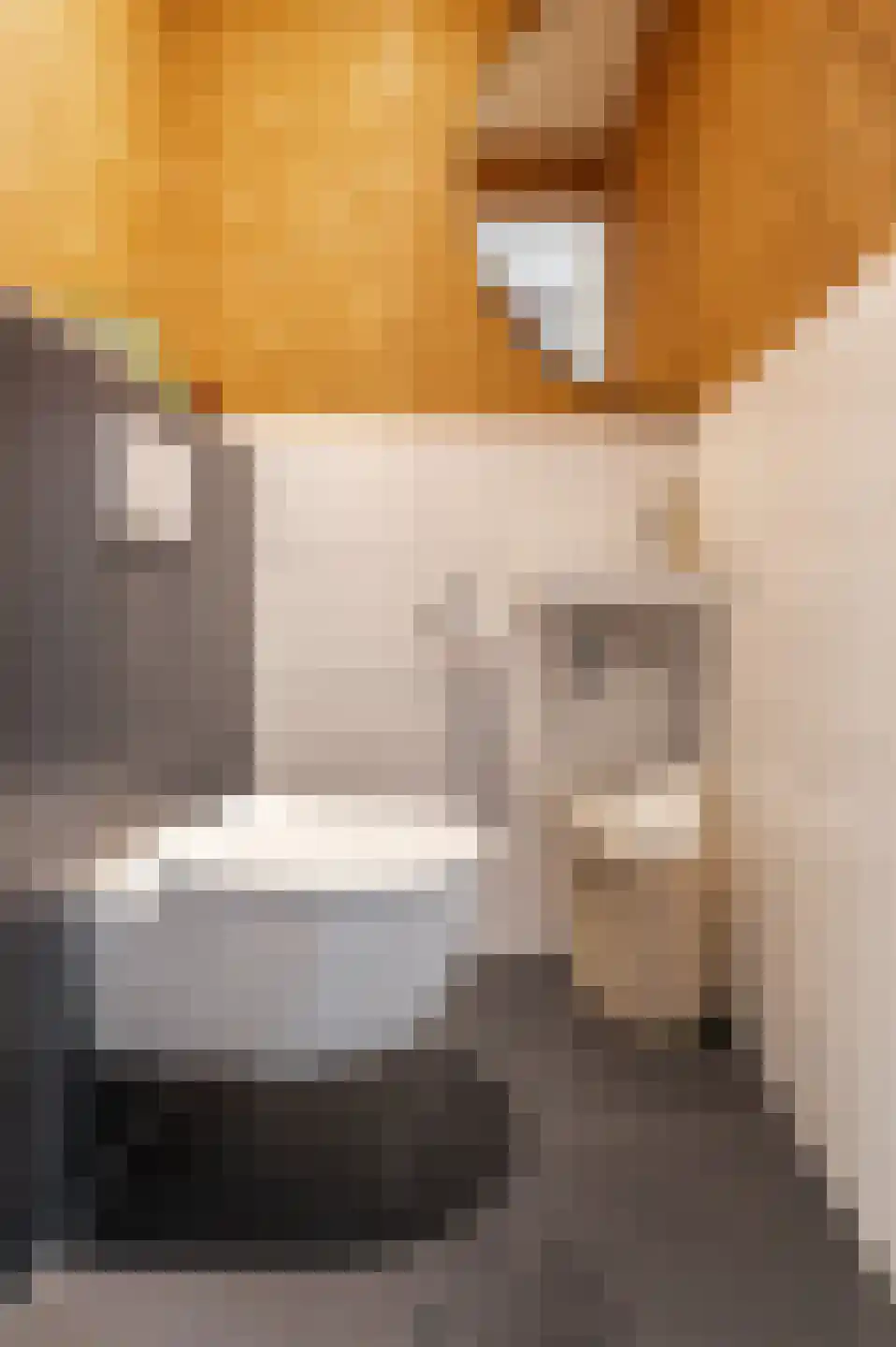 De IJzeren pot 37 Beusichem thumbnail 20