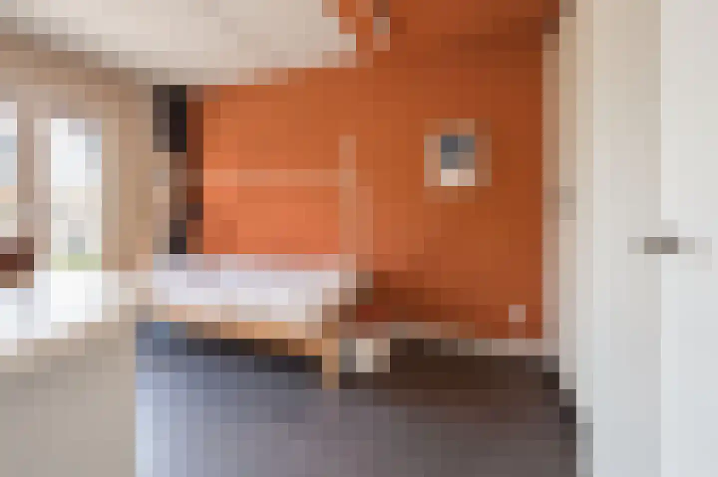 De IJzeren pot 37 Beusichem thumbnail 20