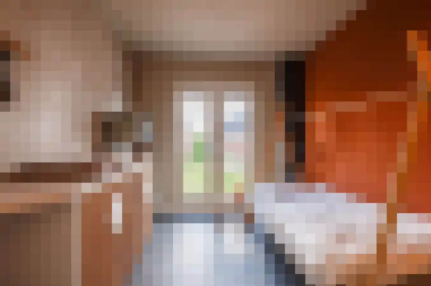 De IJzeren pot 37 Beusichem thumbnail 21