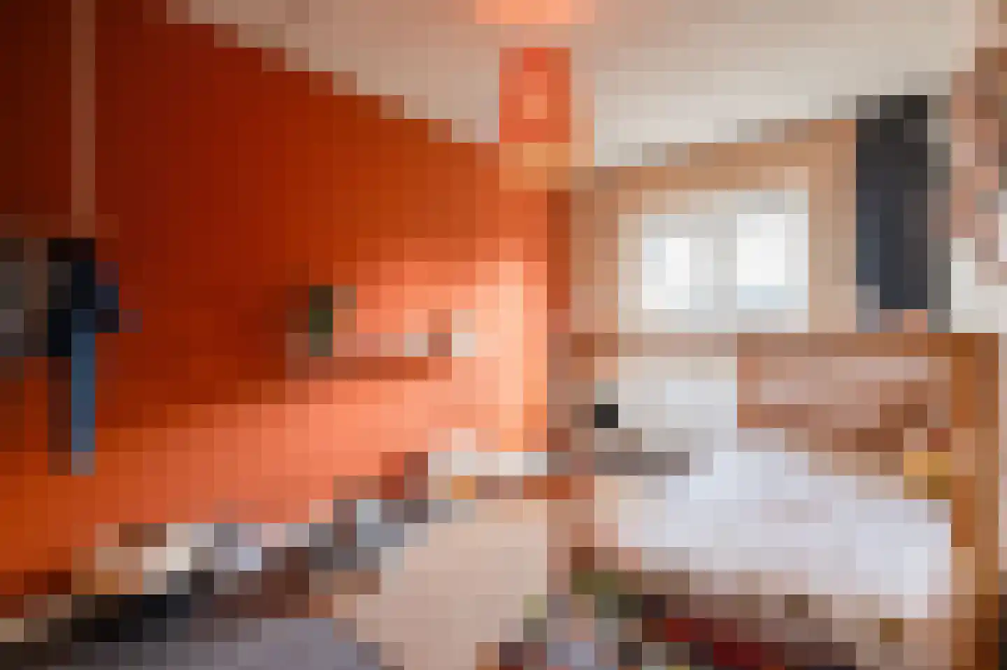 De IJzeren pot 37 Beusichem thumbnail 23