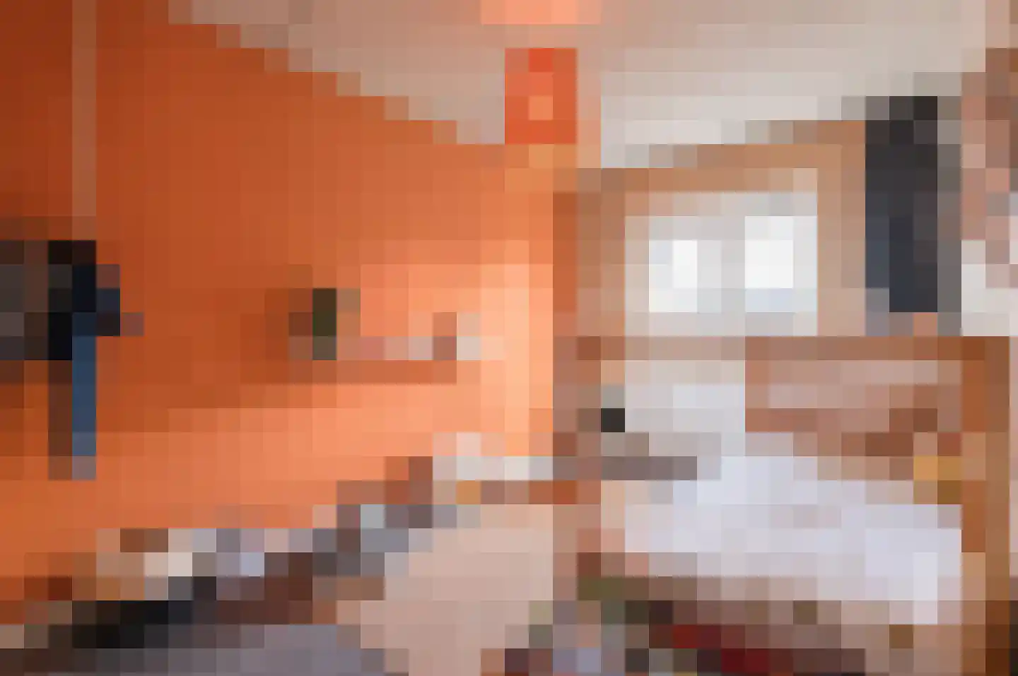De IJzeren pot 37 Beusichem thumbnail 23