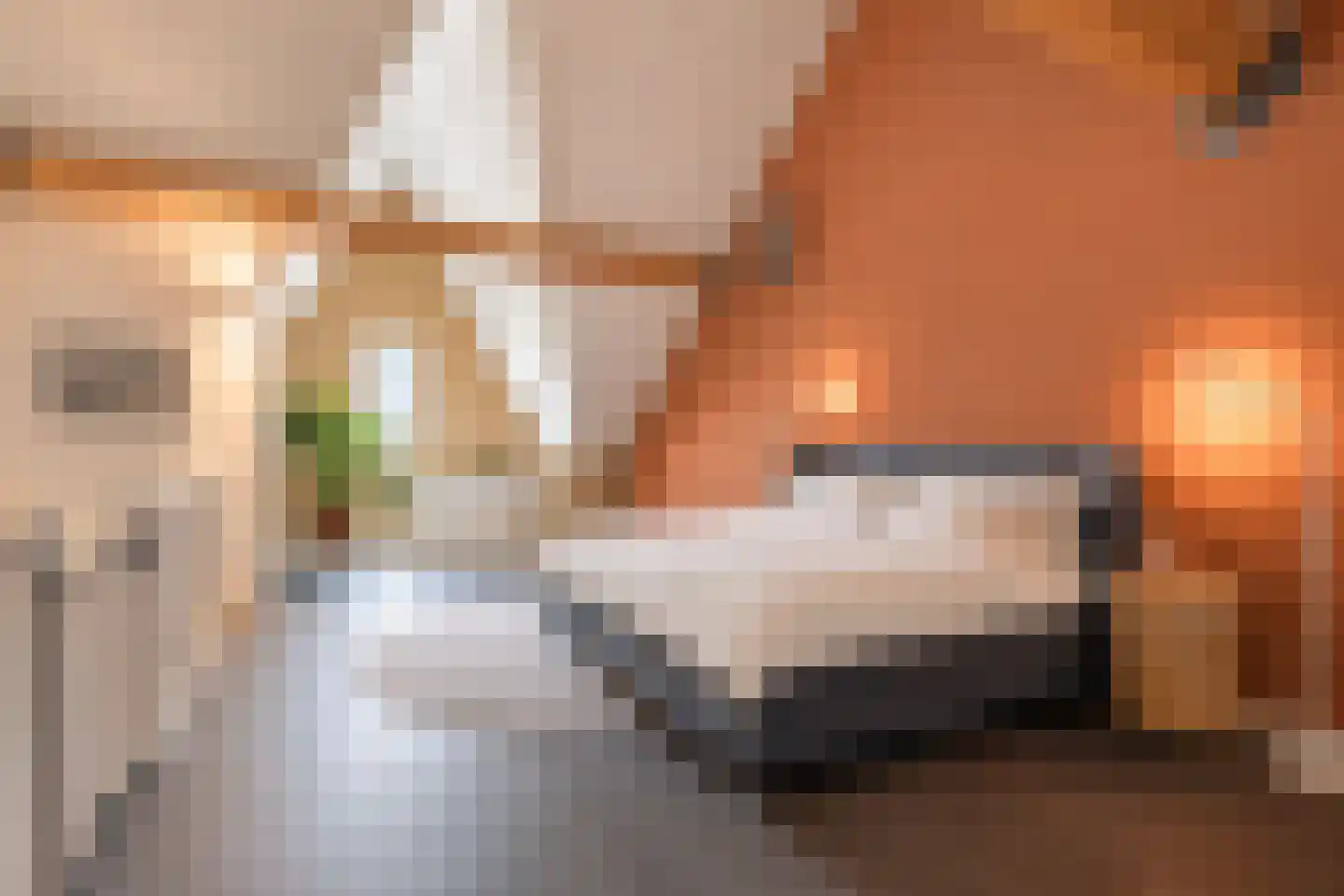 De IJzeren pot 37 Beusichem thumbnail 30