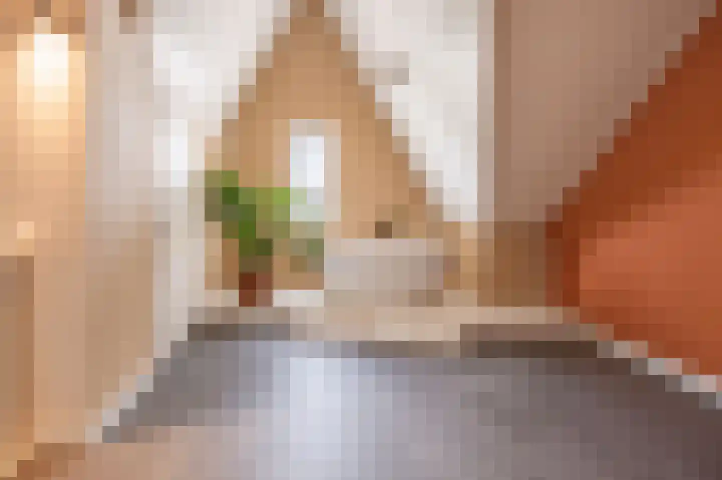 De IJzeren pot 37 Beusichem thumbnail 31