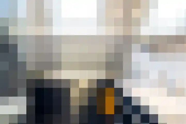 De Ikebosker 36 Oudemirdum thumbnail 13