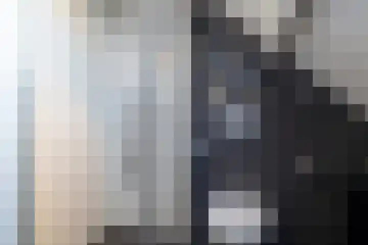 De Ikebosker 36 Oudemirdum thumbnail 14