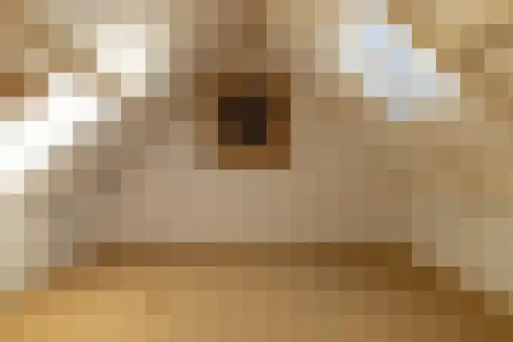 De Ikebosker 36 Oudemirdum thumbnail 17