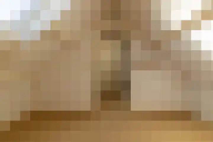 De Ikebosker 36 Oudemirdum thumbnail 18