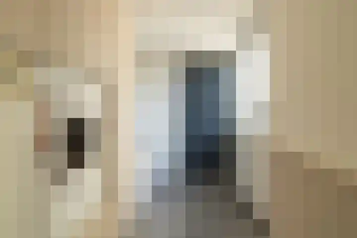 De Ikebosker 36 Oudemirdum thumbnail 22