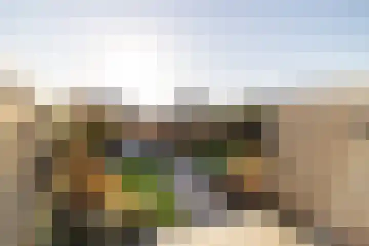 De Ikebosker 36 Oudemirdum thumbnail 26