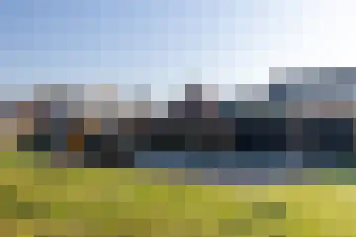 De Ikebosker 36 Oudemirdum thumbnail 28