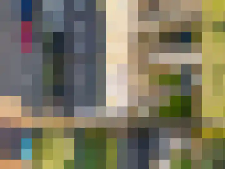 De Ikebosker 36 Oudemirdum thumbnail 30
