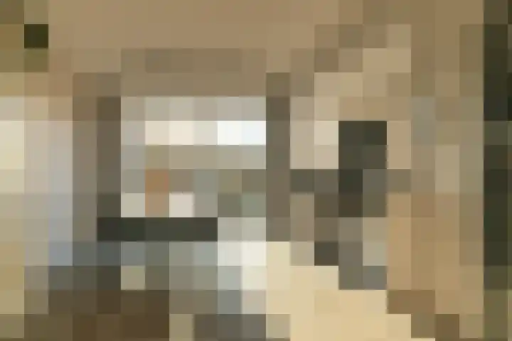 De Ikebosker 36 Oudemirdum thumbnail 4