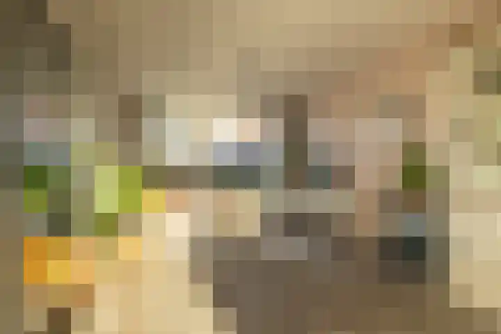De Ikebosker 36 Oudemirdum thumbnail 5