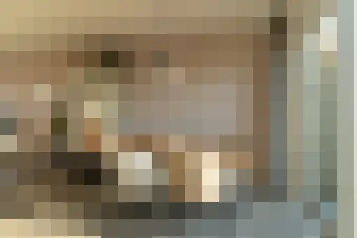 De Ikebosker 36 Oudemirdum thumbnail 6