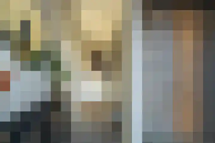 De Ikebosker 36 Oudemirdum thumbnail 7