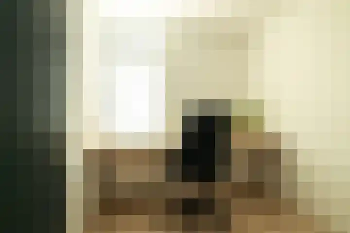 De Ikebosker 36 Oudemirdum thumbnail 8