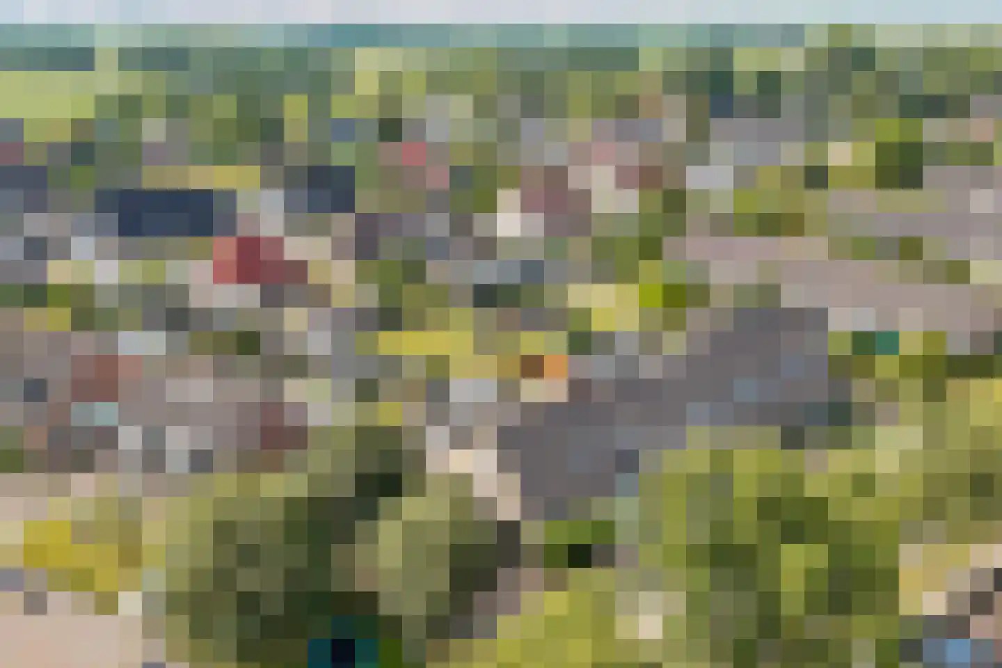 De Ikebosker 44 Oudemirdum thumbnail 11