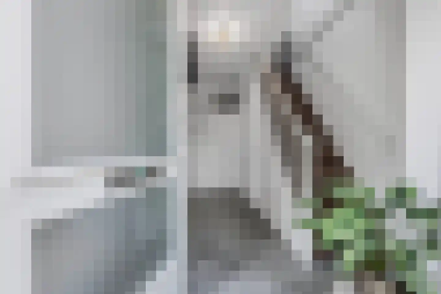 De Ikebosker 44 Oudemirdum thumbnail 12
