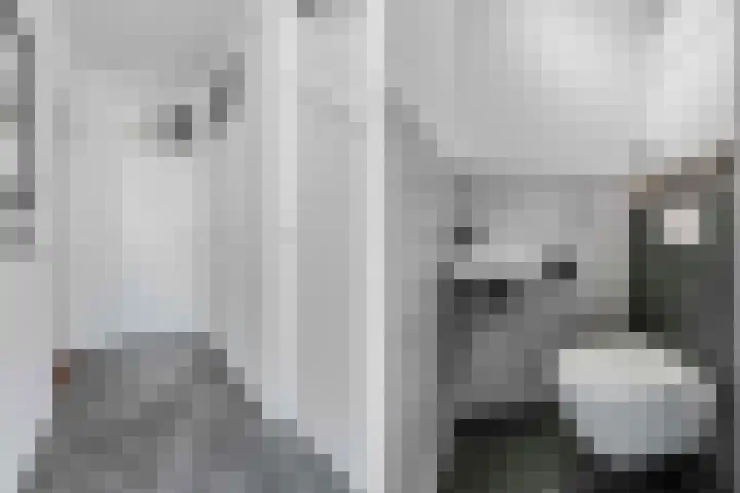 De Ikebosker 44 Oudemirdum thumbnail 13