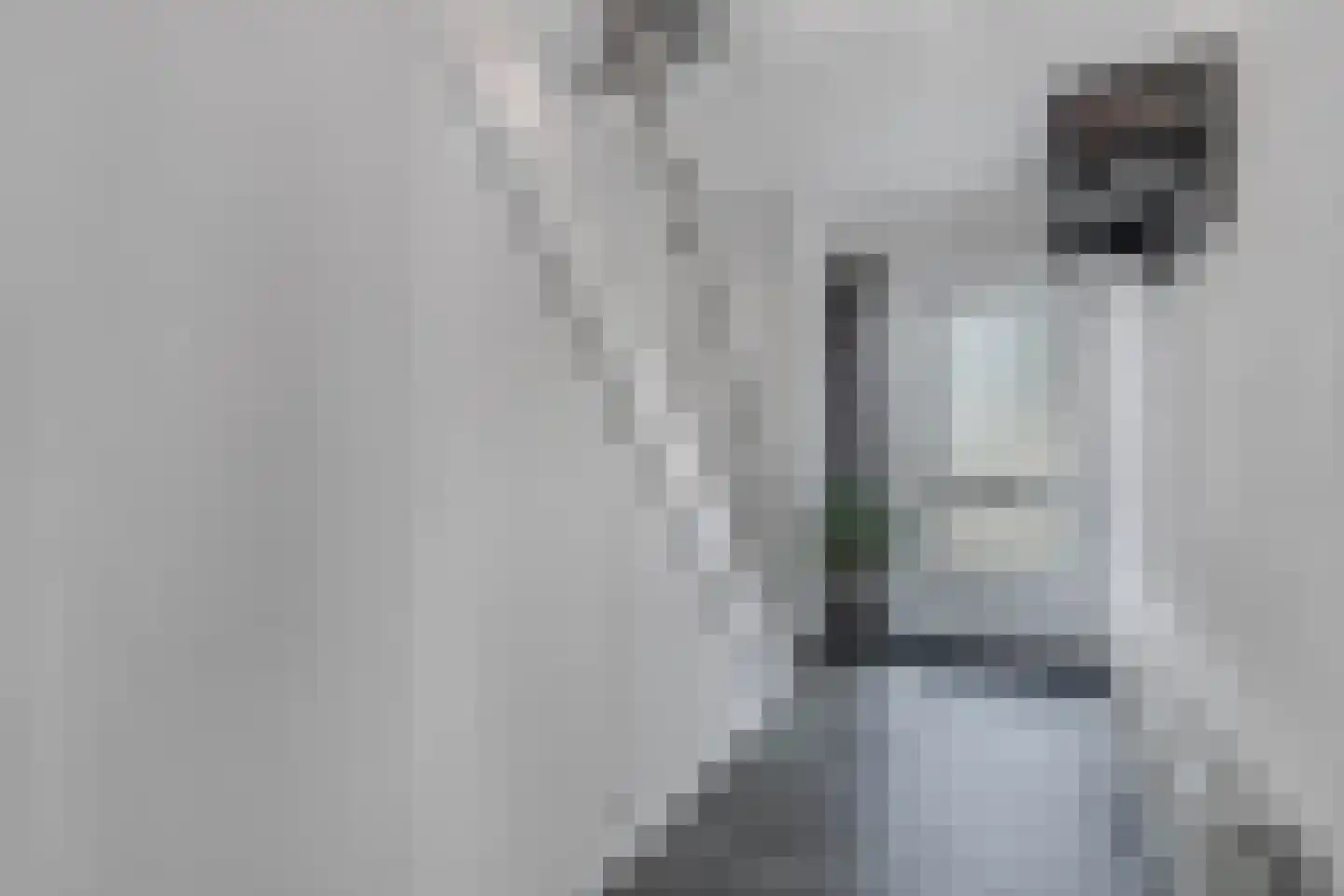 De Ikebosker 44 Oudemirdum thumbnail 14