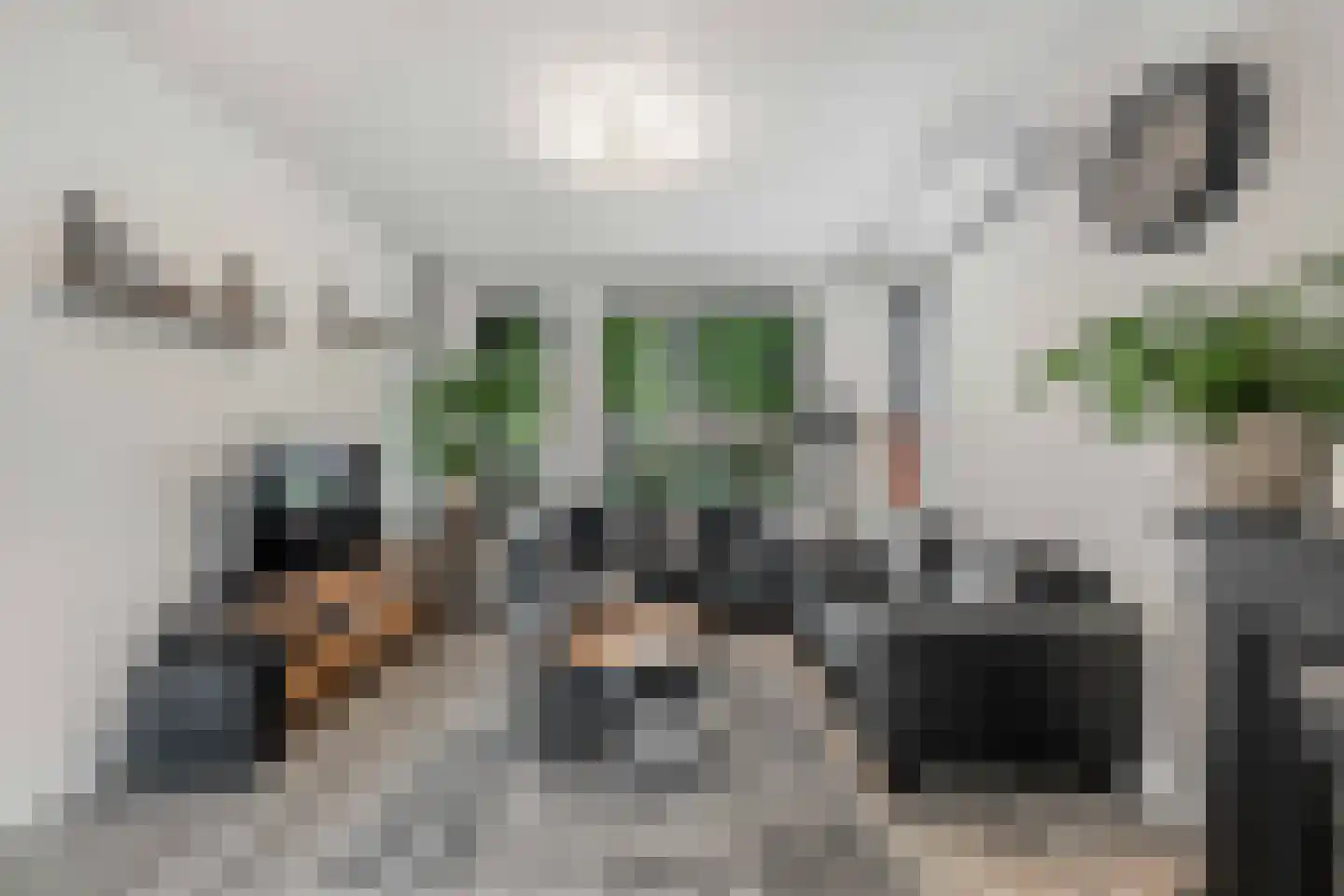 De Ikebosker 44 Oudemirdum thumbnail 15