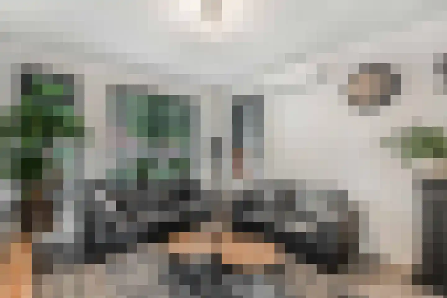 De Ikebosker 44 Oudemirdum thumbnail 16