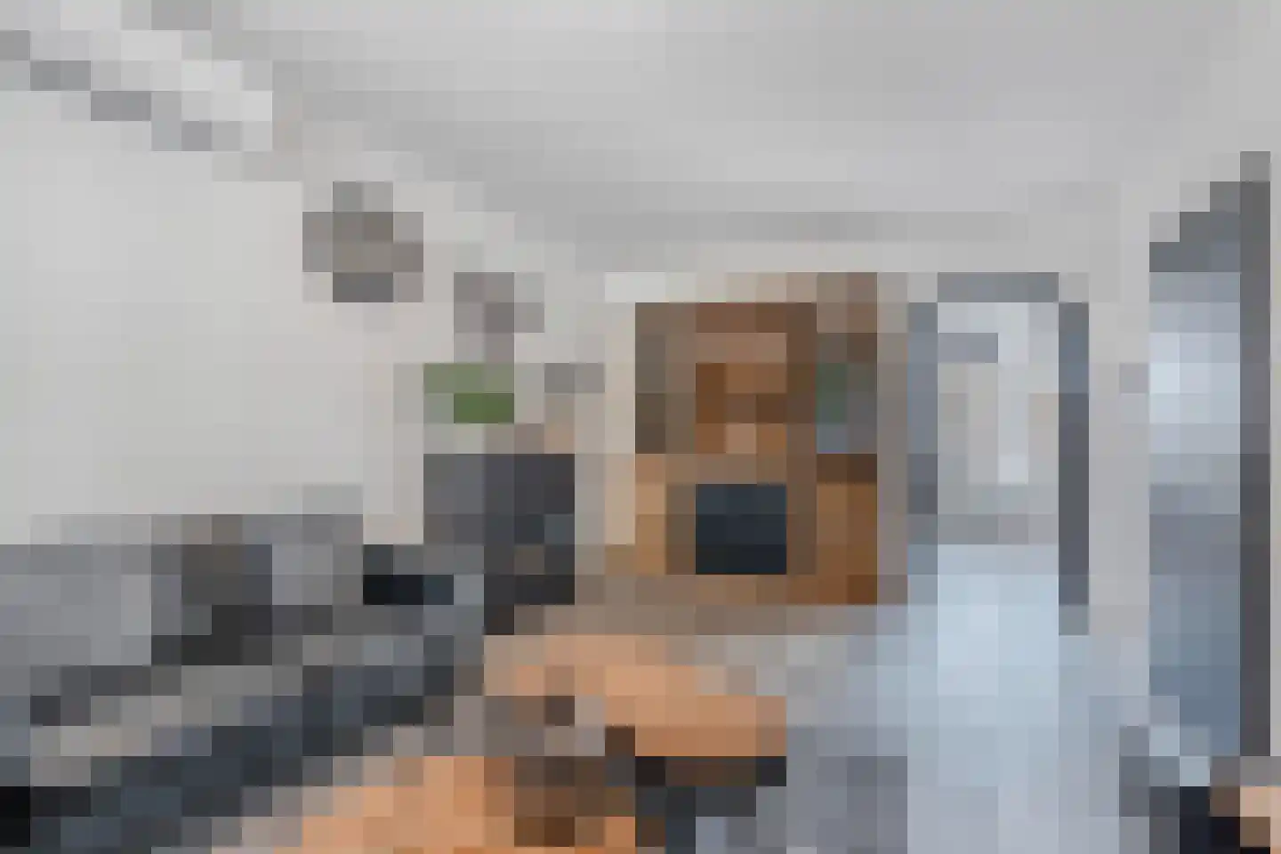 De Ikebosker 44 Oudemirdum thumbnail 18