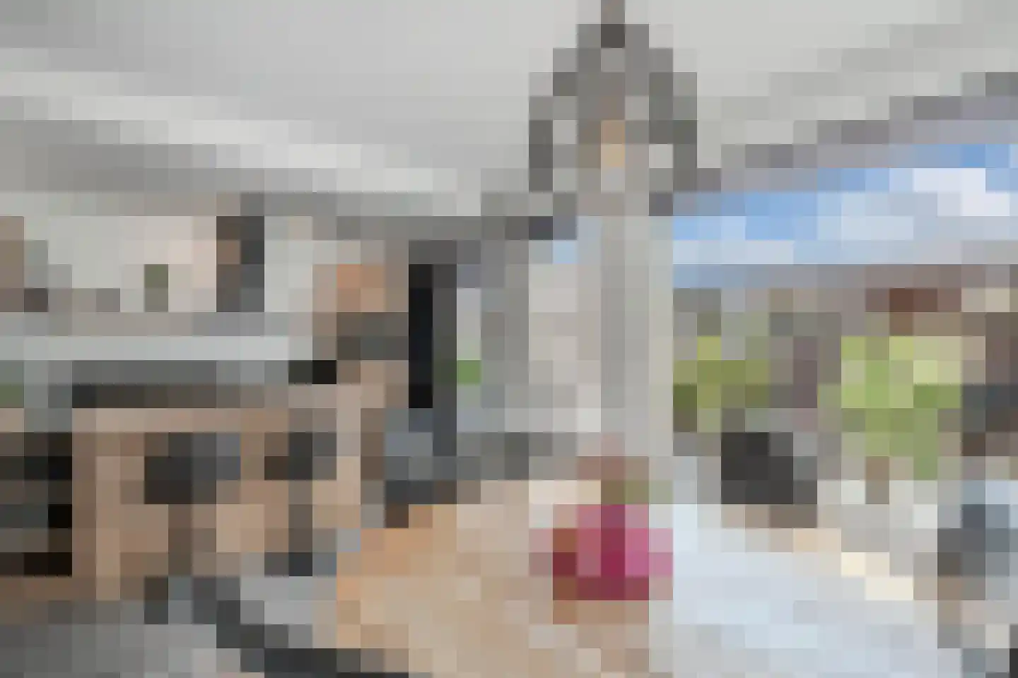 De Ikebosker 44 Oudemirdum thumbnail 21