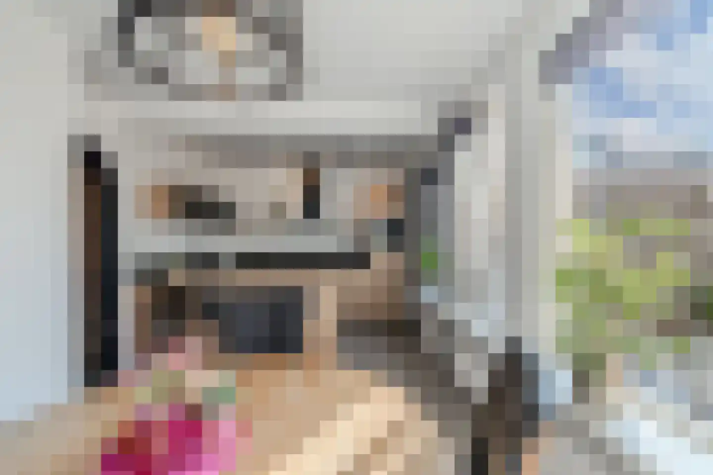 De Ikebosker 44 Oudemirdum thumbnail 22