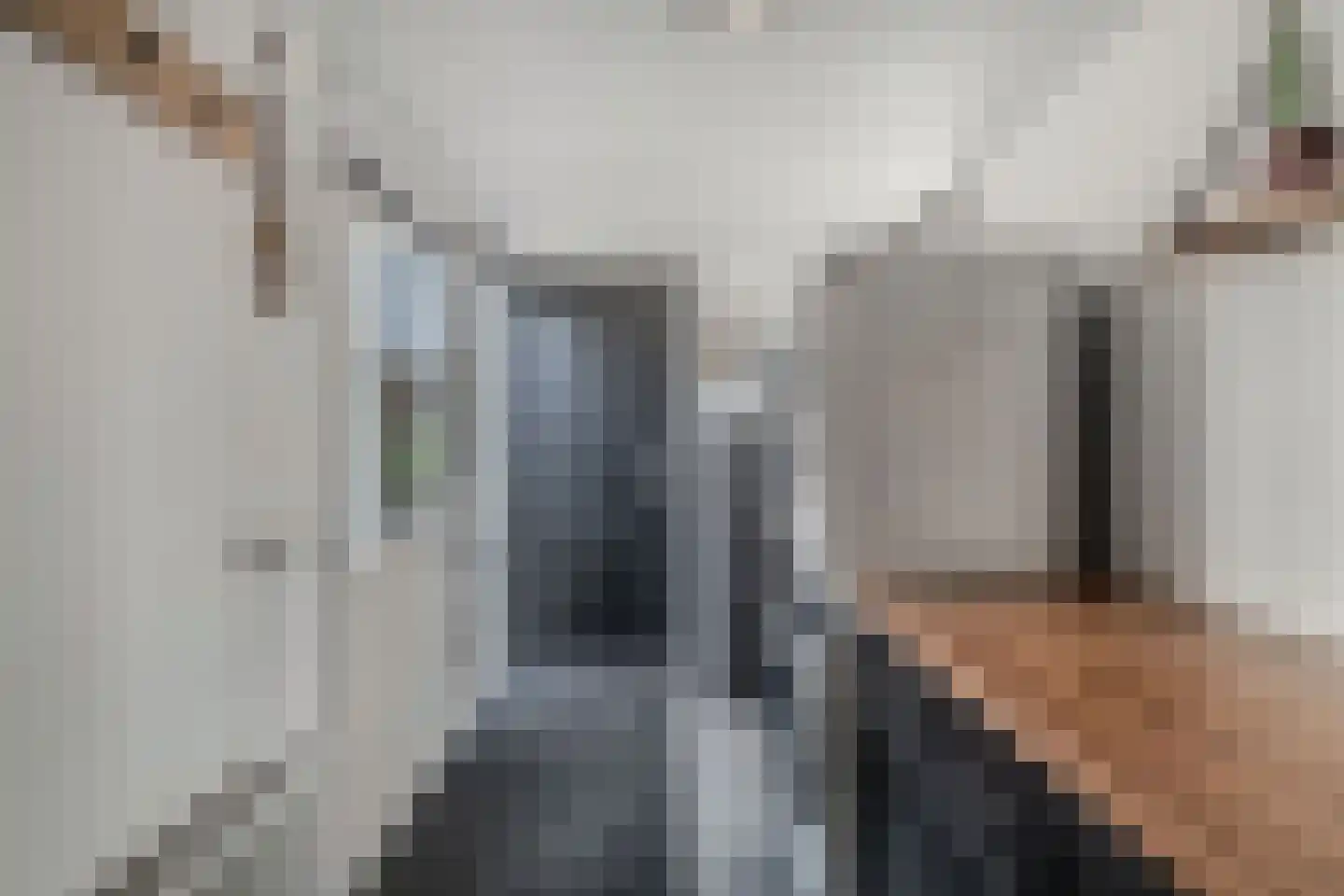 De Ikebosker 44 Oudemirdum thumbnail 30