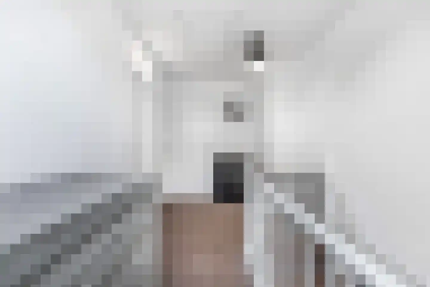 De Ikebosker 44 Oudemirdum thumbnail 32
