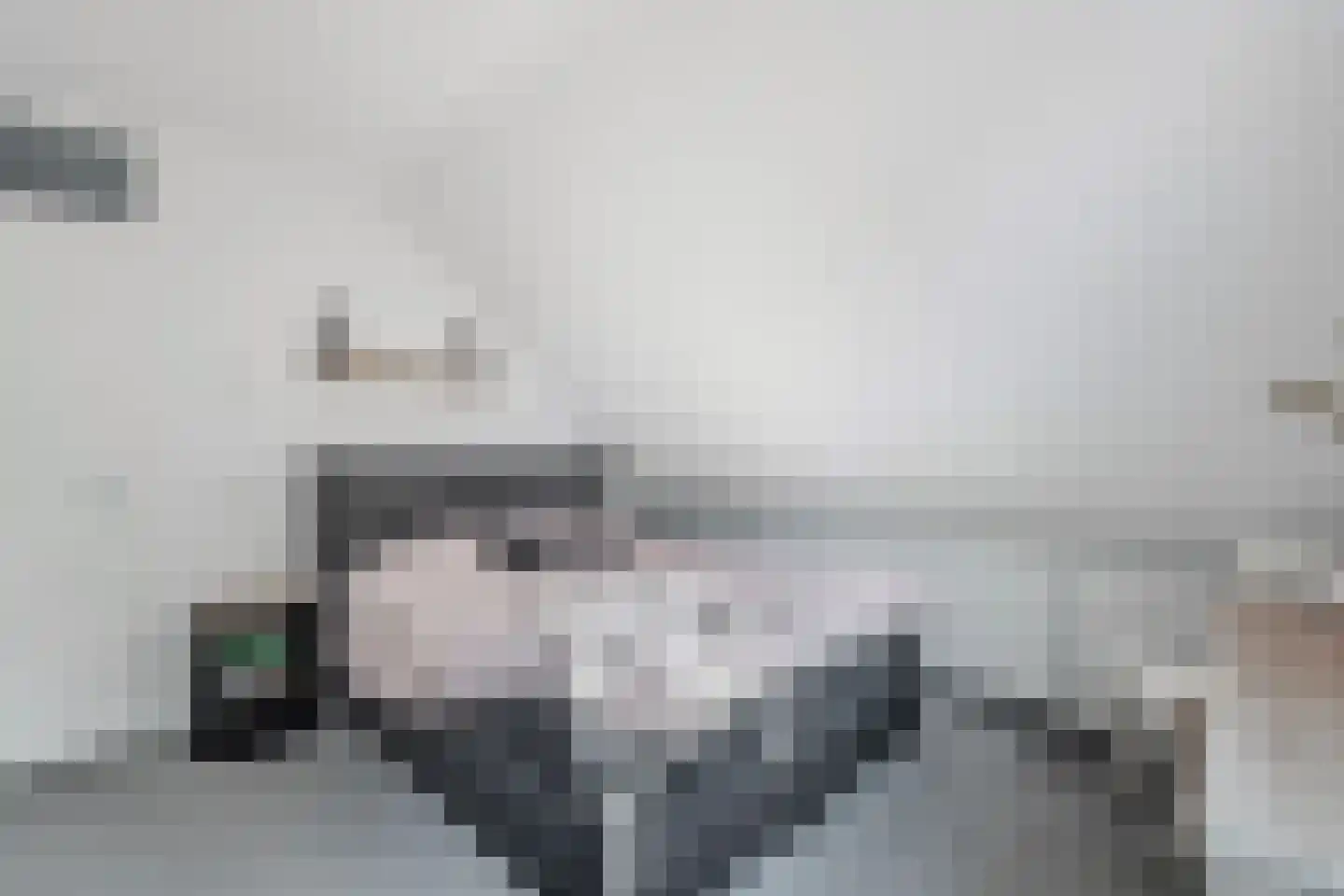 De Ikebosker 44 Oudemirdum thumbnail 33