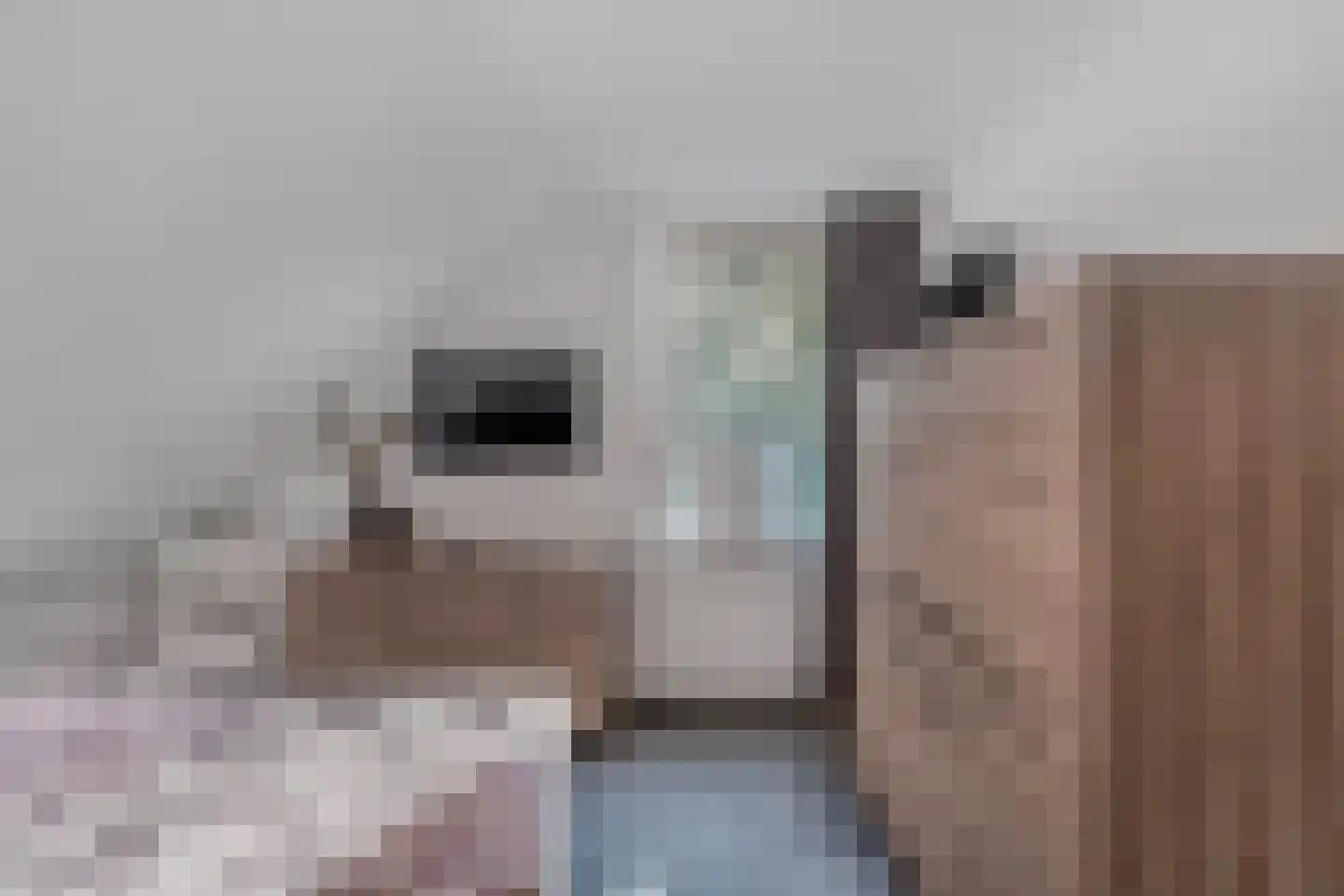 De Ikebosker 44 Oudemirdum thumbnail 34