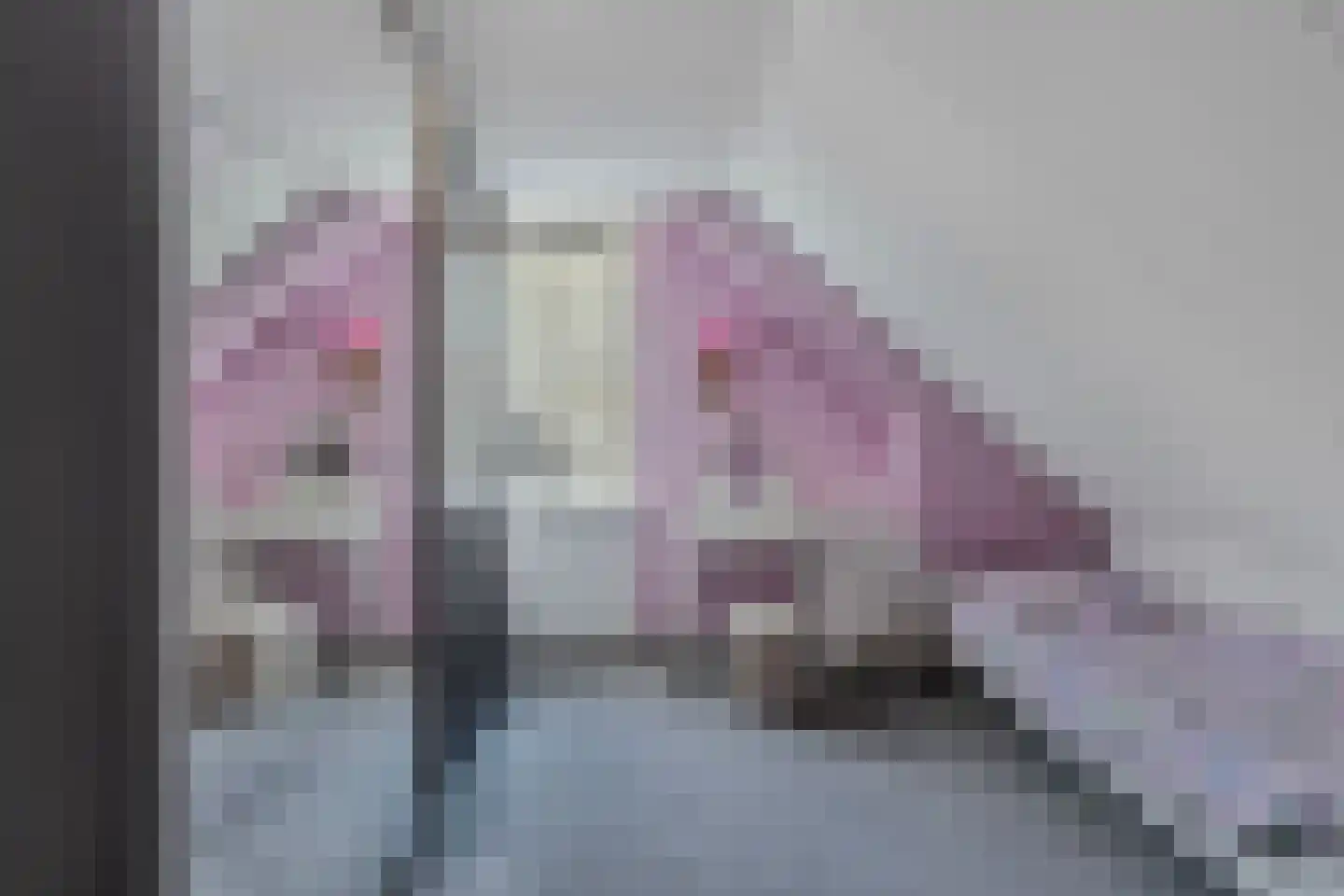 De Ikebosker 44 Oudemirdum thumbnail 35