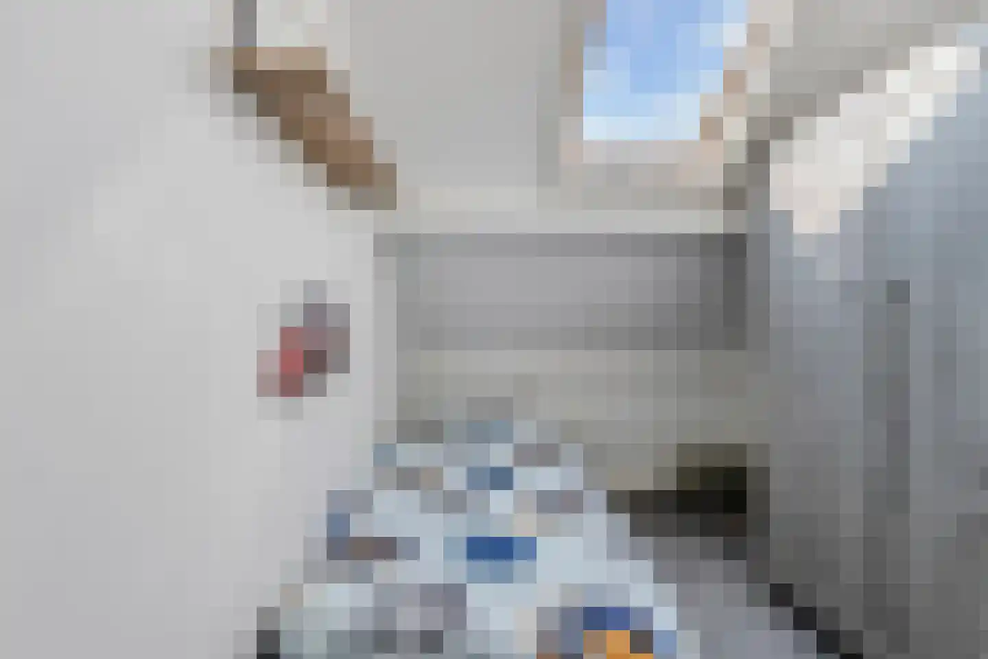 De Ikebosker 44 Oudemirdum thumbnail 37